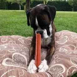 Whimzees Snack Sticks Dentales Estrella Para Perros -Dog Supplies Sale Store stixx 62cfcbd1dd116