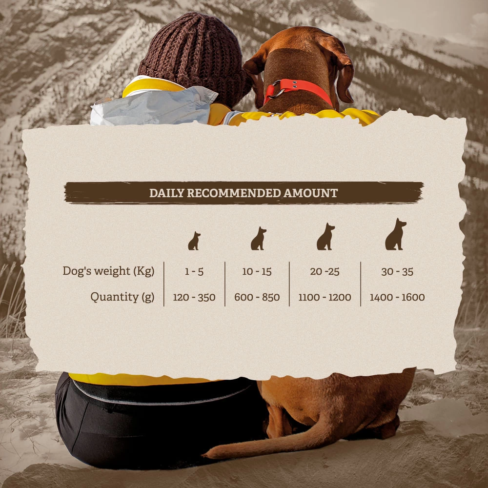 Traveness Multipack Adult Chicken With Apple, Salmon And Lamb 4 Traveness Multipack Adult Chicken With Apple, Salmon And Lamb - Image 2