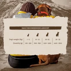 Traveness Multipack Adult Duck, Chicken With Pumpkin And Salmon -Dog Supplies Sale Store traveness guia recomendada humedo adulto 6375e45ad9cff