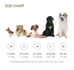 Whimzees Snack Sticks Dentales Estrella Para Perros -Dog Supplies Sale Store whimzees brushes size chart 6287caef810e7