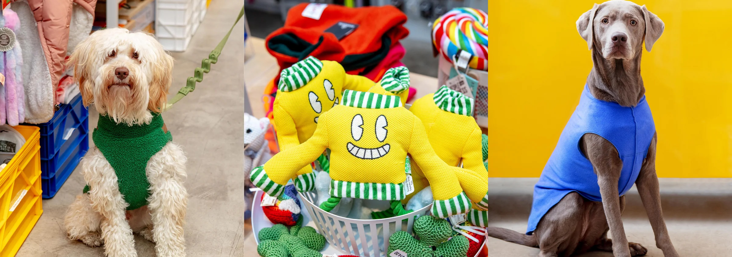 Dog Supplies Sale Store -Dog Supplies Sale Store 1